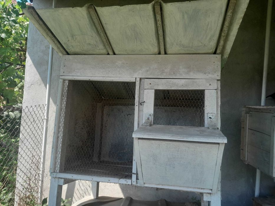 продавам зайчарници