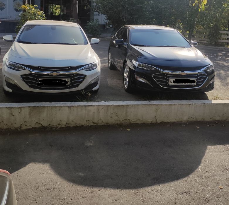 Аренда Малибу 2 Примьер.