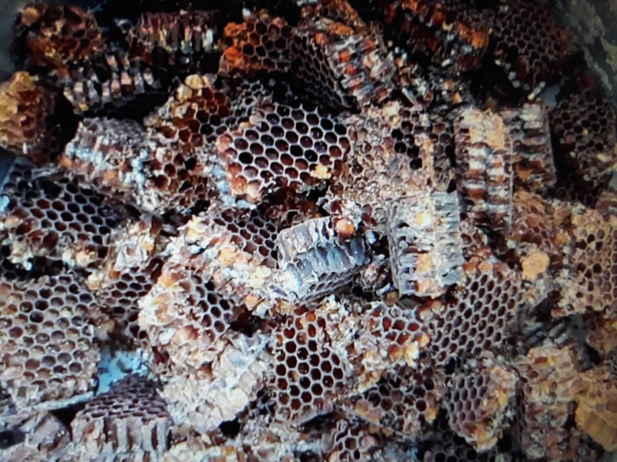 Păstură 2025 -GARANTIA CALITATII,  Polen CRUD / USCAT, Propolis