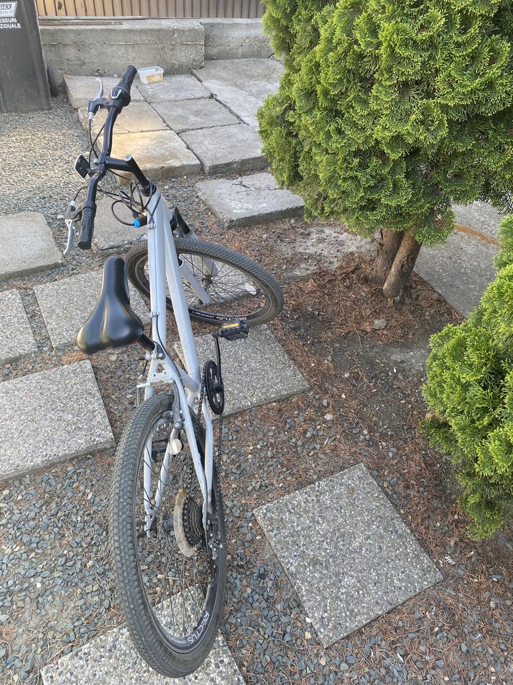 Bicicleta  Nakamura 21 Inch