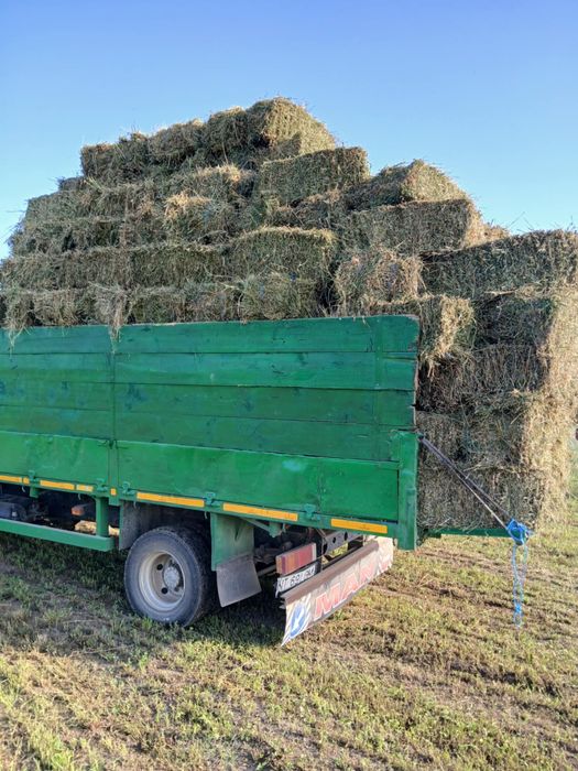 Baloti lucerna de vanzare