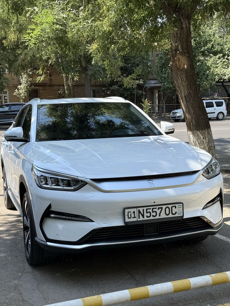 Byd song plus 2023 yil sotiladi