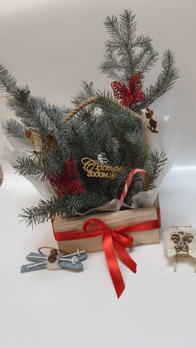 Живые ёлки в горшках.По очень хорошей цене