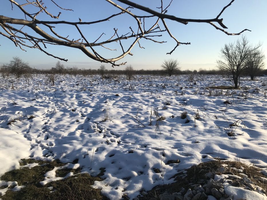 Продава се Парцел в с. Динк, Област Пловдив - 804 кв.м за 28 €/кв.м - Снимка #1