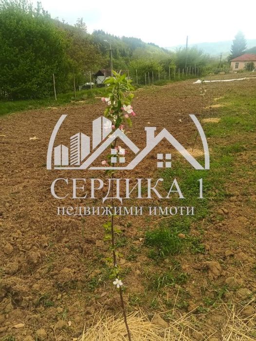 Продава се Парцел в с. Згурово, Област Кюстендил - 3799 кв.м за 12 €/кв.м - Снимка #4