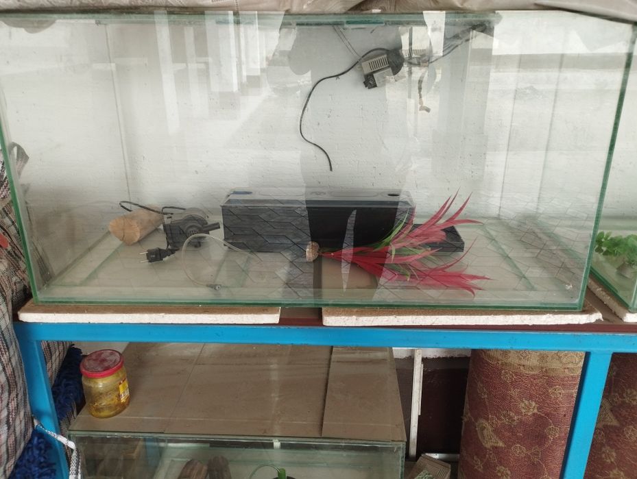 250литров аквариум