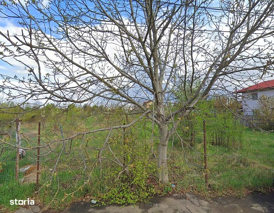 Teren Intravilan 2953 mp – Ideal Proiect Rezidential | Alexandriei