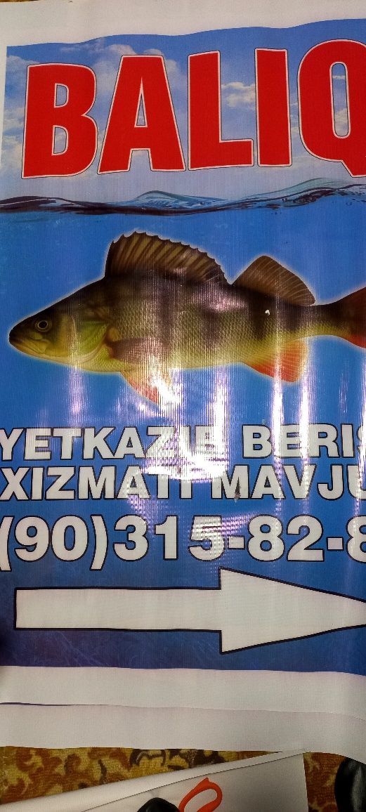 Banner chiqaradigon printer 1.80sm li