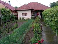 Vanzare casa situata in comuna Pestisani - Sat Borosteni