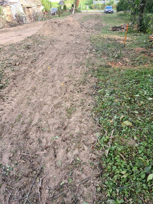 intravilan 28 de ari sau 63 de ari Viile Satu Mare cu livada de pruni