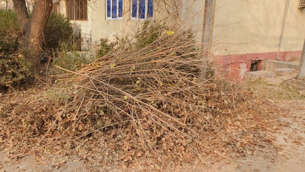 Текин Утин бепул