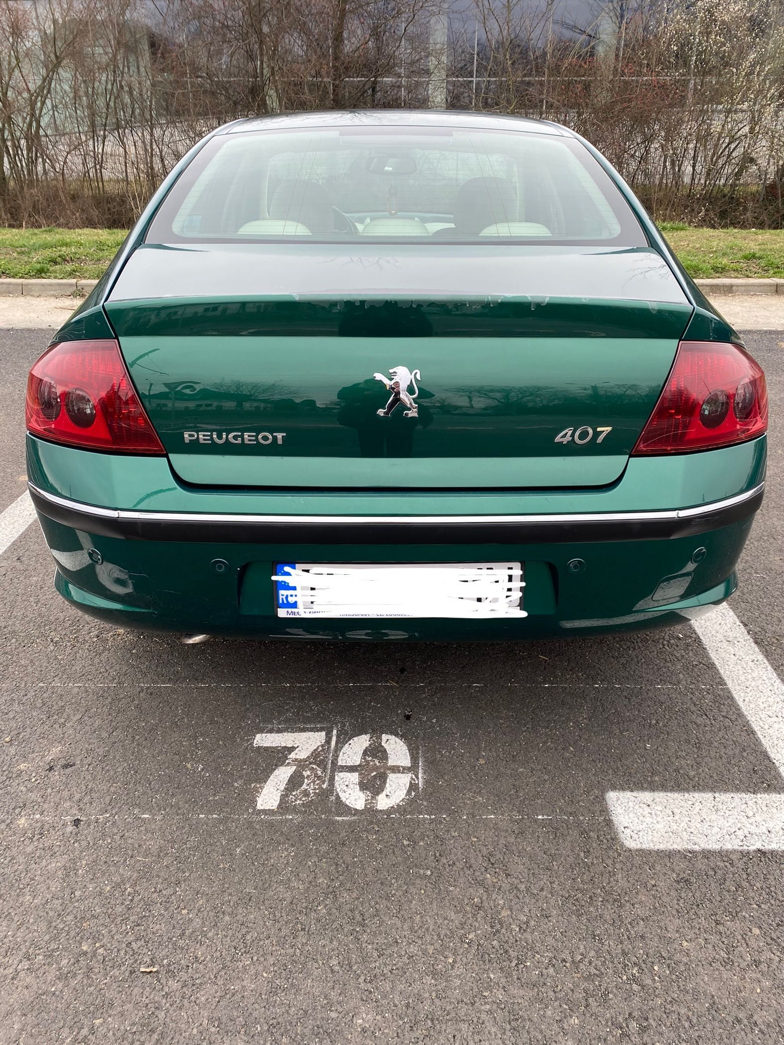 Peugeot 407 2.0 HDI 136cp