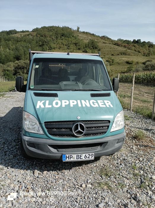 Sprinter 311 Camionetă
