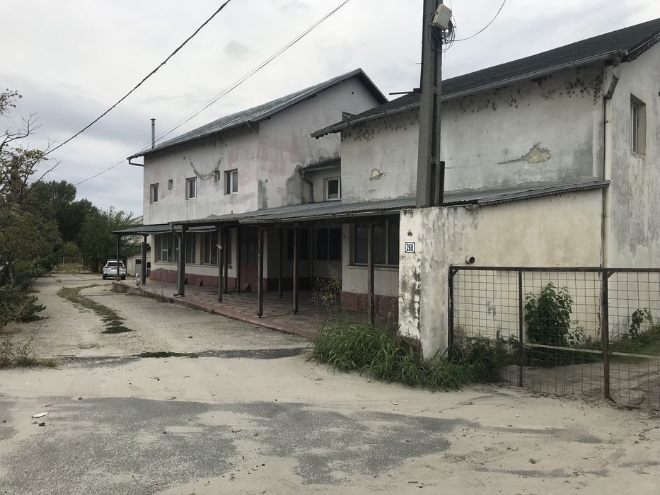 Stradal pe Soseaua Alexandriei