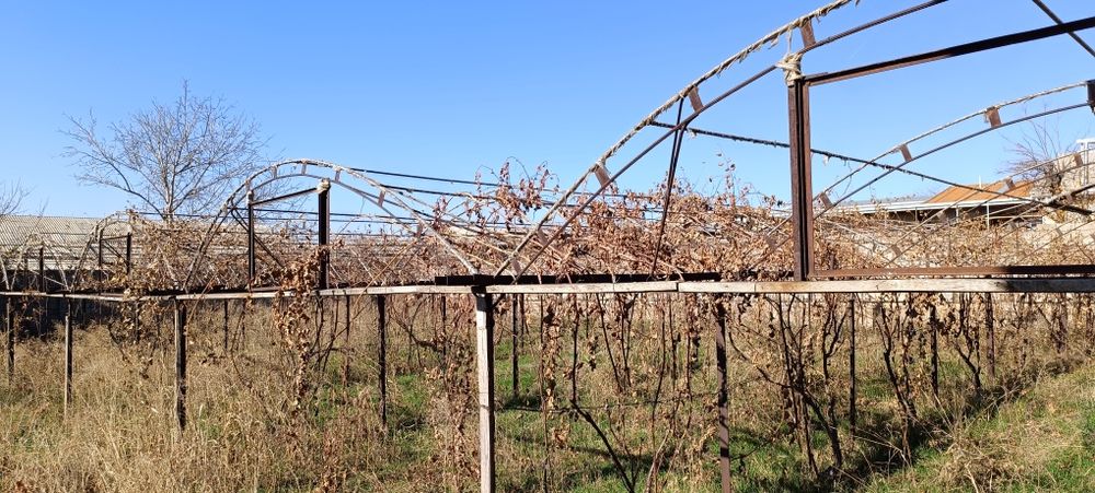 Toshkent viloyati, Qibray tumanida yer sotiladi