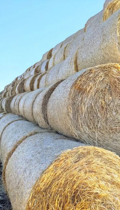 Рулонни бали: сено; просо; слама от ечемик