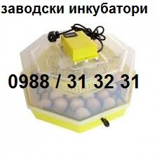 Румънски инкубатор за пилета. Инкубатори за яйца КЛЕО 5; Cleo 5