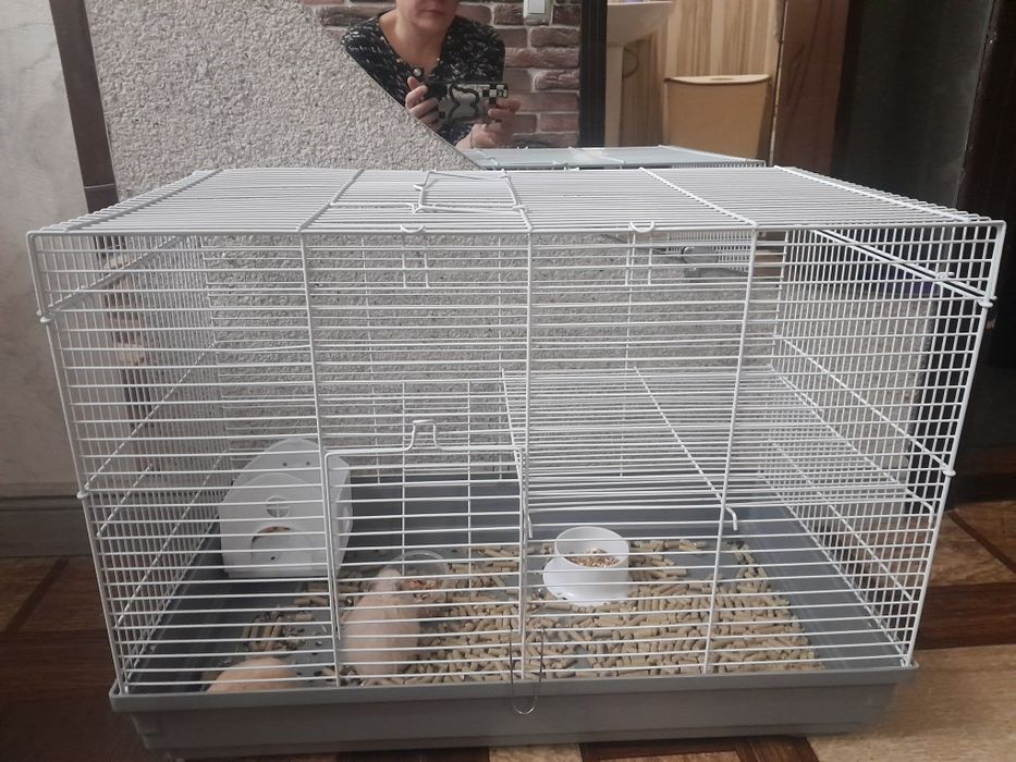 Продам клетку большая в хорошем новом состряния