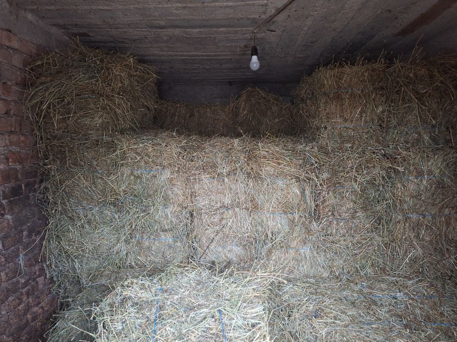 Vînd baloți de lucerna și fîn inpreunat cu lucerna (clae)