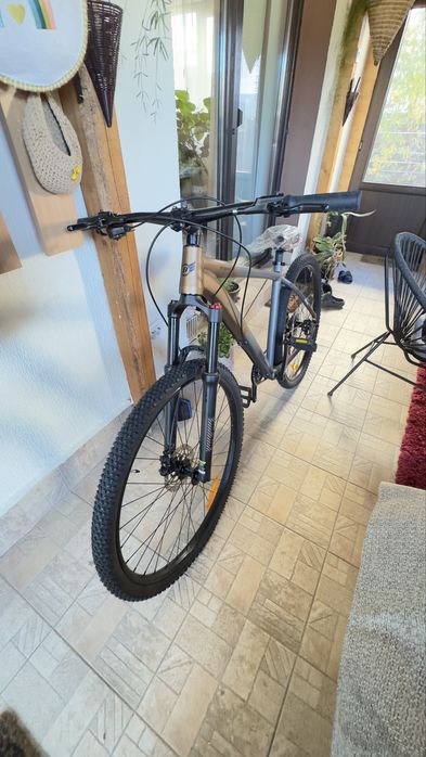 Bicicleta MTB Pegas DRUMET M 29'