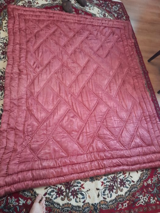 Vind urgent plapumă