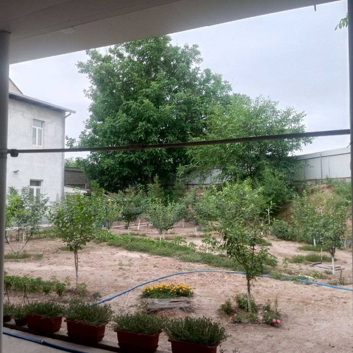 Келес , Масалбой .