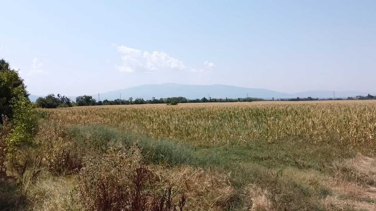 Продава се Парцел в София, Ботунец - 17288 кв.м за 73 €/кв.м - Снимка #4