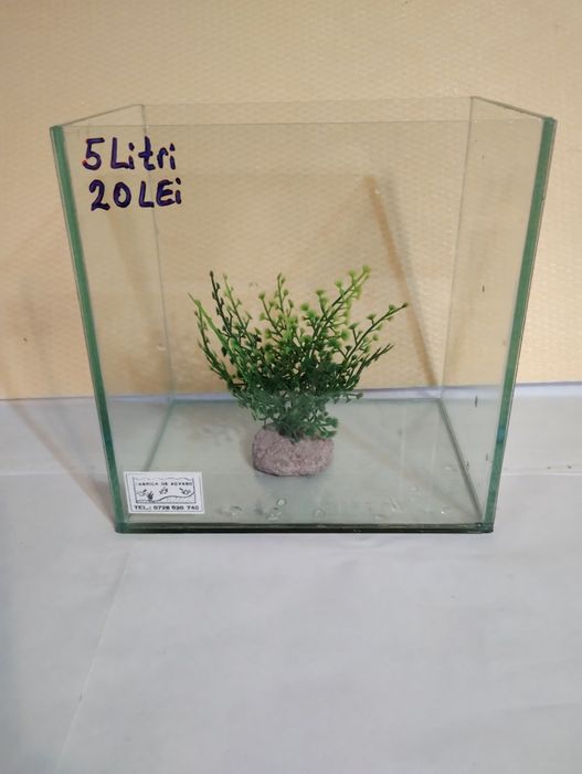 Acvarii in Pitești