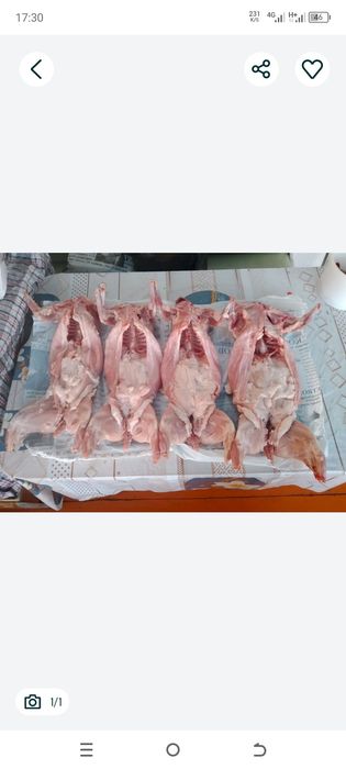 Продам мясо кроликов есть доставка