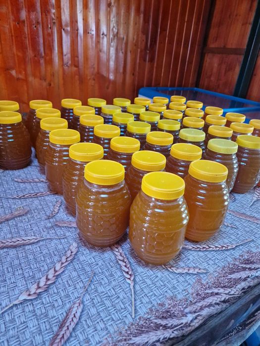 Miere polifloră naturală + Fagure