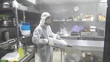 Дезинсекция дезинфекция кандала тараканы клопы гарантия круглосуточно