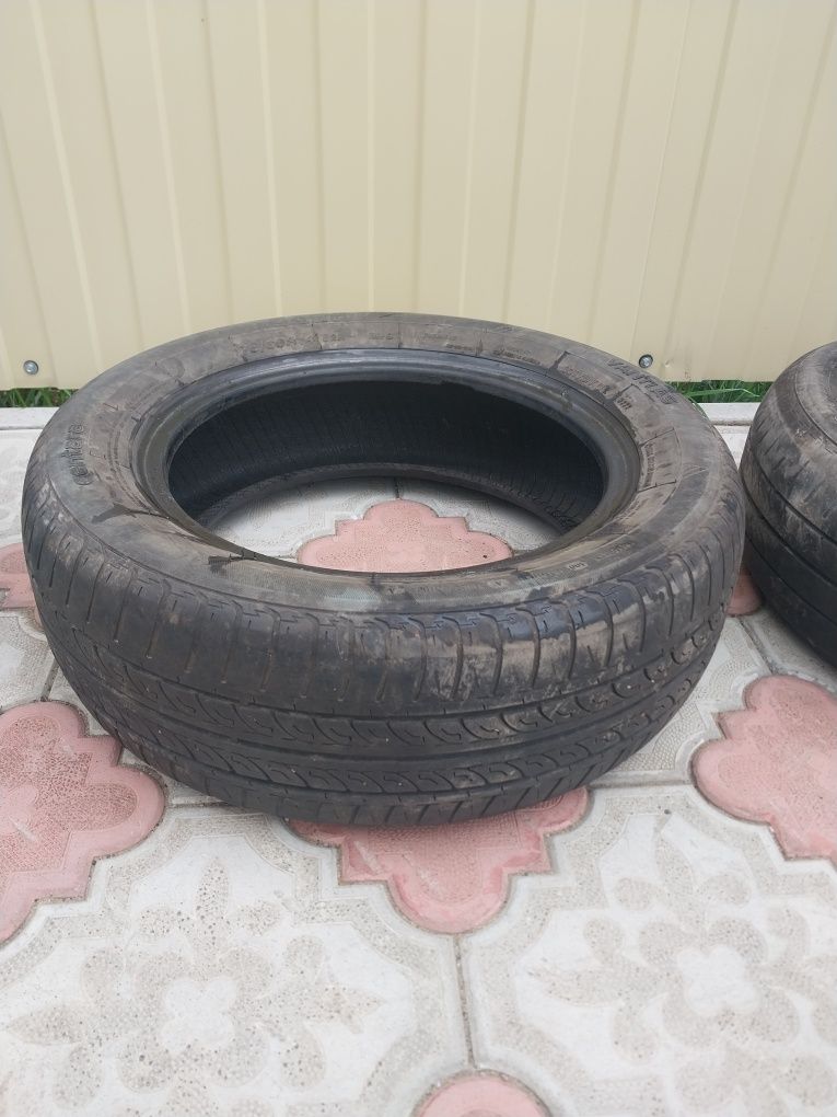 Продам шину Центара