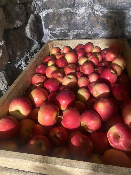 Mere de vanzare diverse sortimente