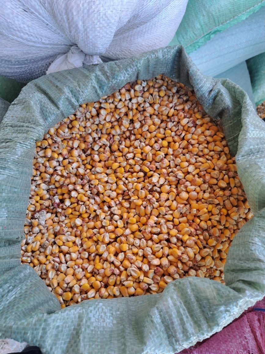 Don mahsulotlari