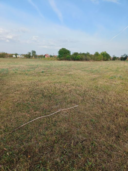 Teren intravilan de vânzare – 2877 m², Comuna Ghizela