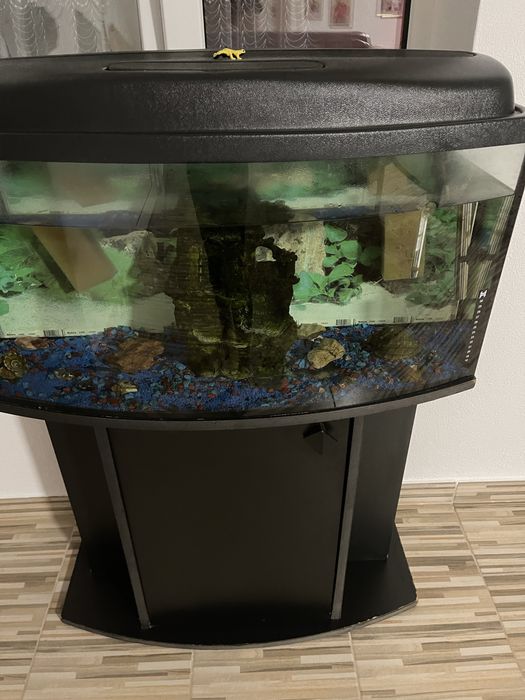 Acvariu pentru pesti