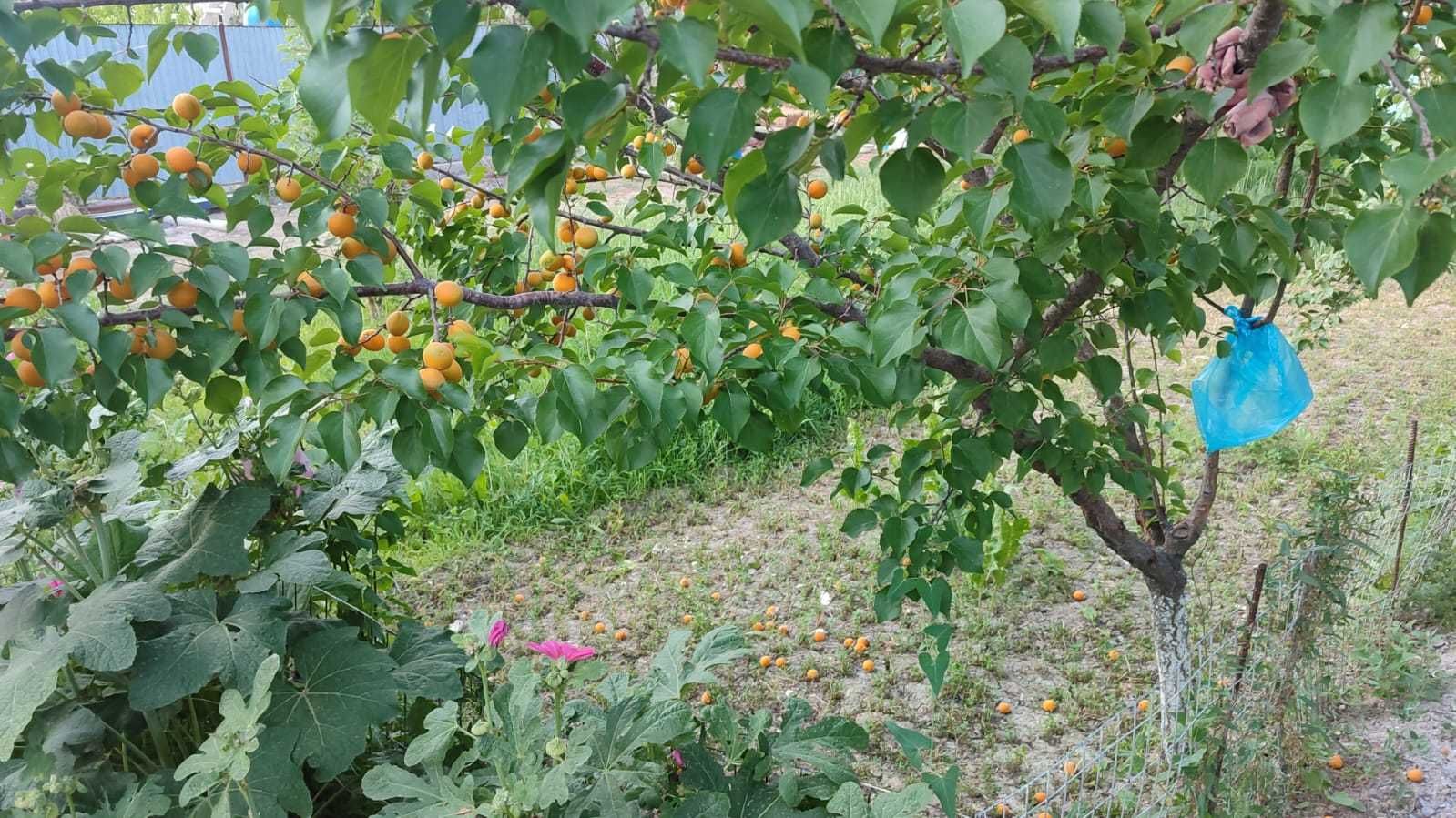 продам дом в тихом районе