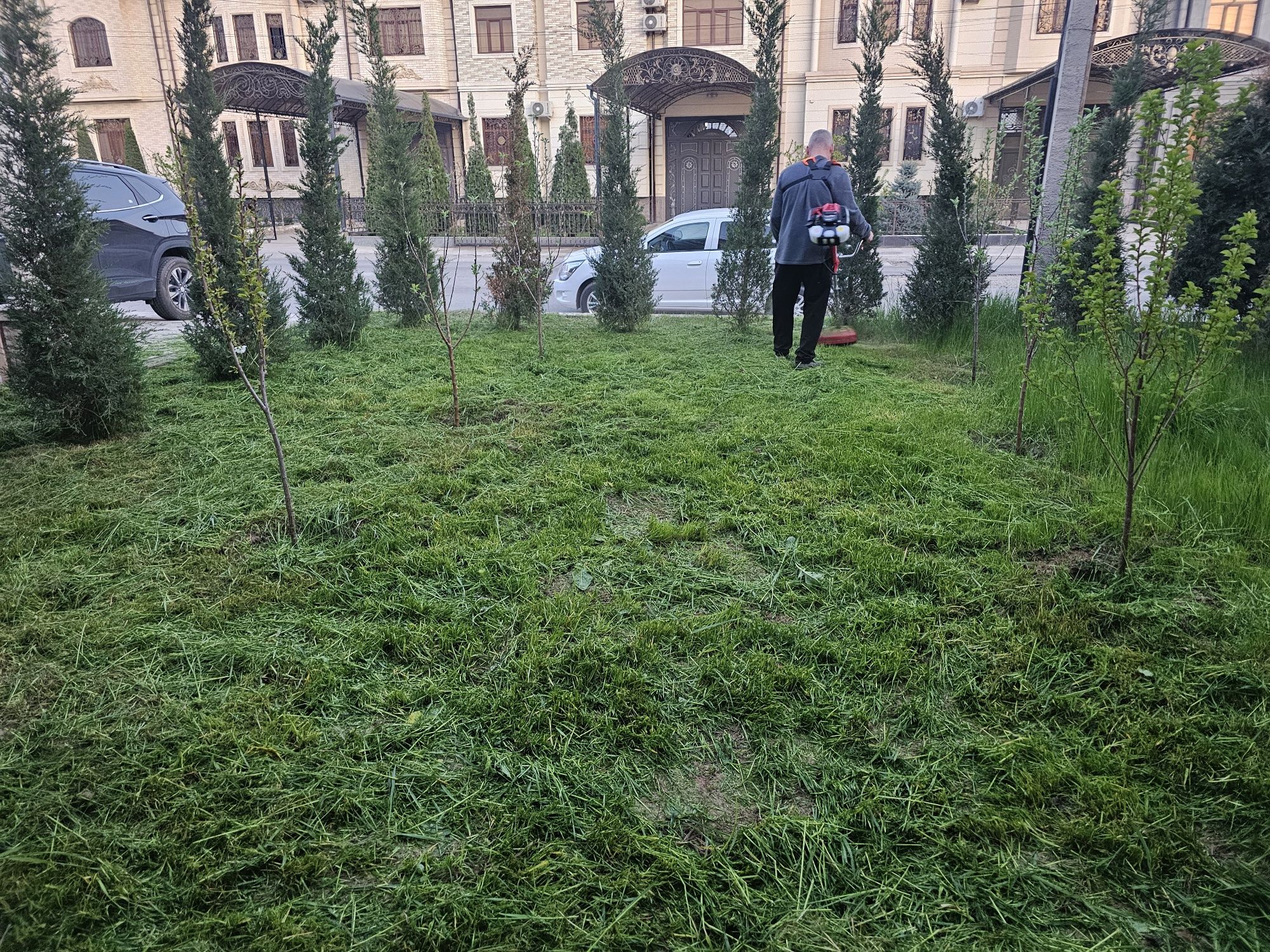 Покос травы триммером, уборка травы
