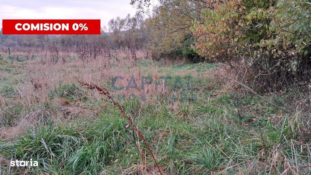 Teren intravilan cu AC, central Corpadea