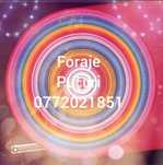 Foraje Puturi,DenisipariAdânciri,Piloni si Curãțãri.