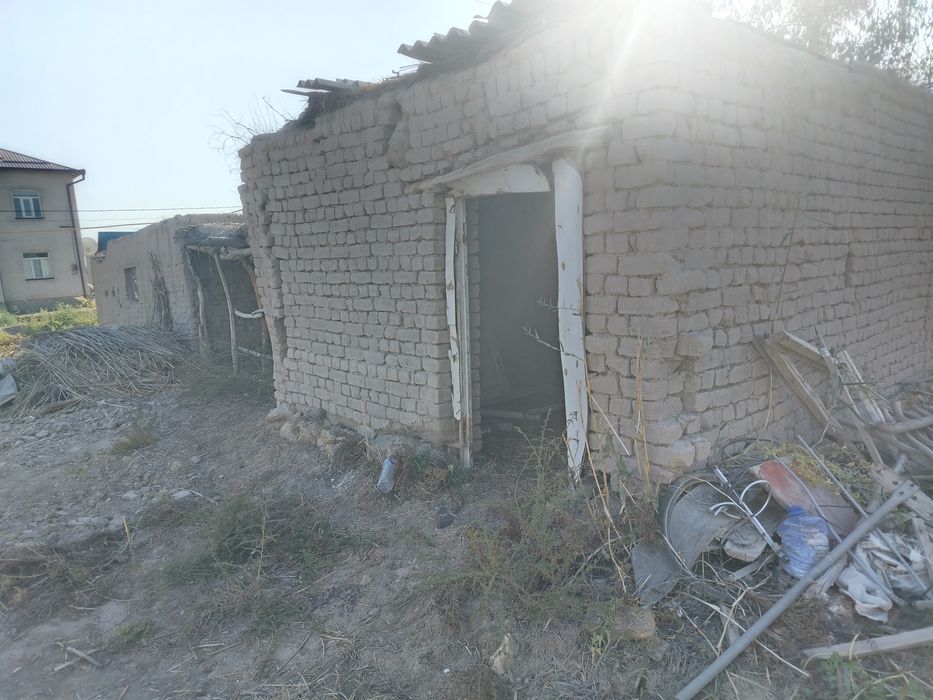 Уш болели мал кора сатылады