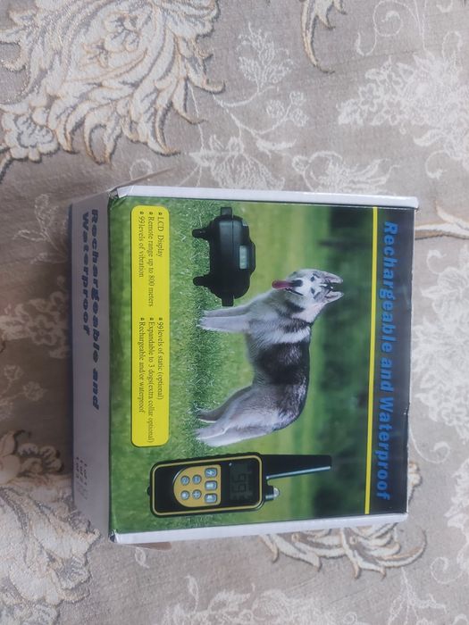 Новый для дрессировки собак