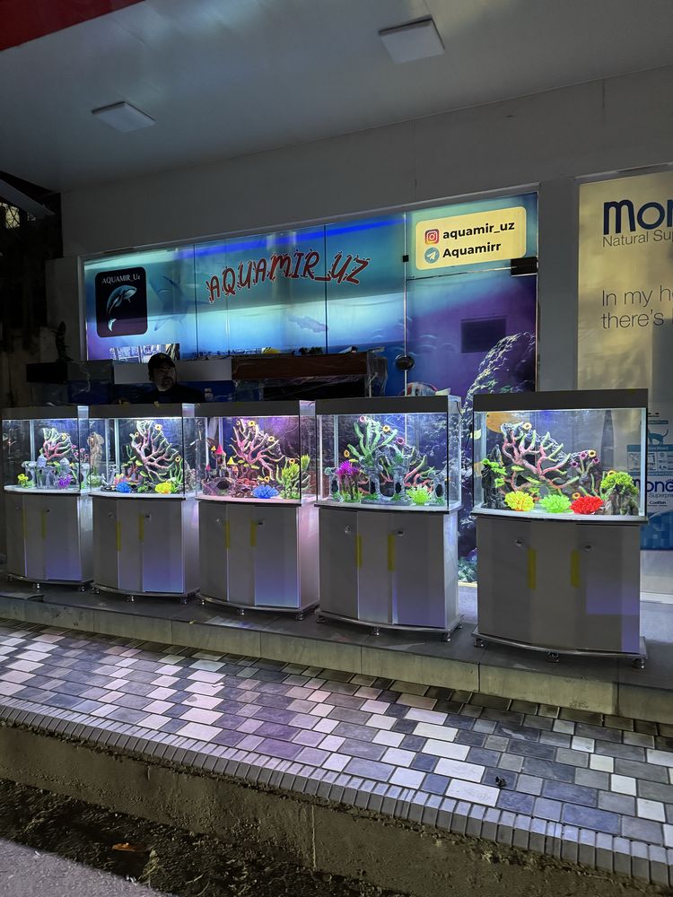 Akvarium Magazin Mirobod va Sergili