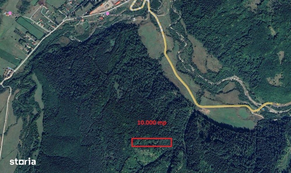 Teren cu padure in Bradet intre DN 1 A si raul Doftana