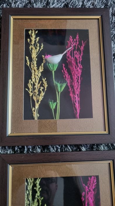 Tablou deosebite 3 D din Portugalia