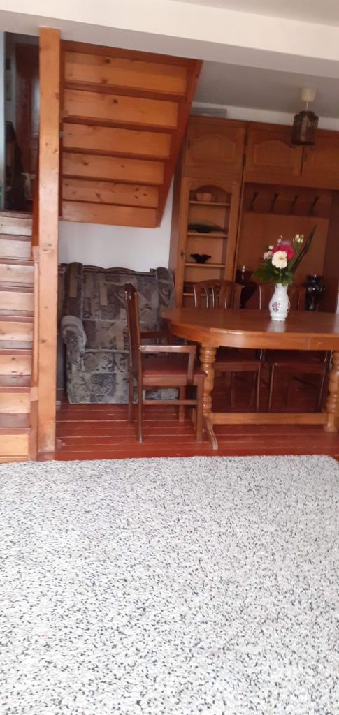 Casa Branesti cu deschidere la lac.