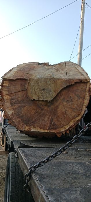 Спил аварийных деревьев!