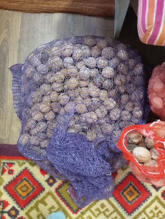 Орехи грецкие Чирчик