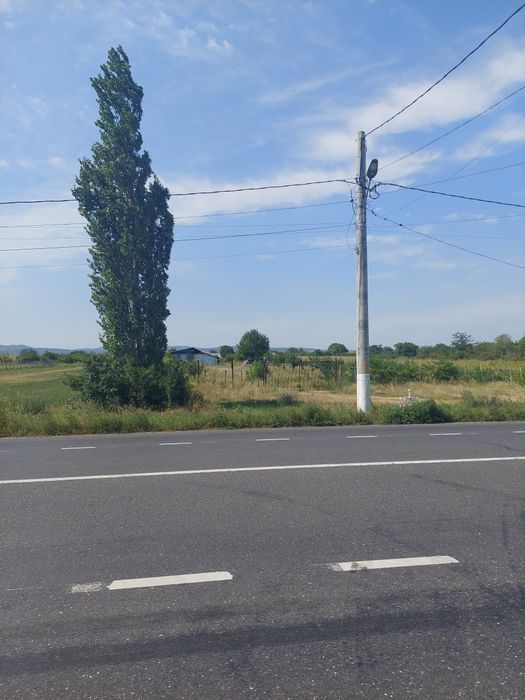 / DE VÂNZARE  / DE ÎNCHIRIAT  / Teren Intravilan  3707 Mp  / Oreavu  /