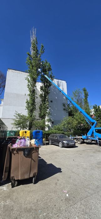 Tăiere Arbori De Mari Dimensiuni/Alpinism Utilitar/Rapid Și Ieftin.